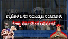 ಪ್ರಾಣಿಗಳ ಜನನ ನಿಯಂತ್ರಣ ನಿಯಮಕ್ಕೆ ಸಂಬಂಧಿಸಿದಂತೆ ಕೇಂದ್ರ ಸರ್ಕಾರದಿಂದ ಮಹತ್ವದ ಅಧಿಸೂಚನೆ