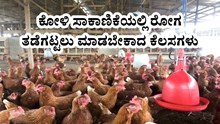 ಕೋಳಿ ಸಾಕಾಣಿಕೆಯಲ್ಲಿ ರೋಗ ತಡೆಗಟ್ಟಲು ಮಾಡಬೇಕಾದ ಕೆಲಸಗಳು ಕೋಳಿ ಸಾಕಾಣಿಕೆಯಲ್ಲಿ ರೋಗ ತಡೆಗಟ್ಟಲು ಮಾಡಬೇಕಾದ ಕೆಲಸಗಳು