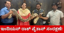 ಬಿಬಿಎಂಪಿಯಿಂದ ಇಂಡಿಯನ್ ರಾಕ್ ಪೈತಾನ್ ಸಂರಕ್ಷಣೆ! ಬಿಬಿಎಂಪಿಯಿಂದ ಇಂಡಿಯನ್ ರಾಕ್ ಪೈತಾನ್ ಸಂರಕ್ಷಣೆ!