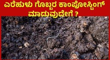 ಎರೆಹುಳು ಗೊಬ್ಬರ ಕಾಂಪೋಸ್ಟಿಂಗ್‌ ಏನು ಮಾಡಬೇಕು, ಏನು ಮಾಡಬಾರದು ಇಲ್ಲಿದೆ ಮಾಹಿತಿ!