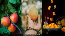 Mango Time: ಈ ಕಾರಣಗಳಿಂದಾನೇ ಮಾವಿನ ಹಣ್ಣು ಎಲ್ರಿಗೂ ಬೇಕೇ ಬೇಕು