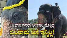 Breaking News: 14 ಬಾರಿ ದಸರಾ ಅಂಬಾರಿ ಹೊತ್ತಿದ್ದಆನೆ ಬಲರಾಮ ಇನ್ನಿಲ್ಲ! Breaking News: 14 ಬಾರಿ ದಸರಾ ಅಂಬಾರಿ ಹೊತ್ತಿದ್ದಆನೆ ಬಲರಾಮ ಇನ್ನಿಲ್ಲ!