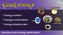 ಕೃಷಿಯಲ್ಲಿ ಬೀಜಾಮೃತ ಬಳಕೆ: ಬೀಜೋಪಚಾರ ಮಾಡಿ ಗುಣಮಟ್ಟದ ಇಳುವರಿ ಪಡೆಯಿರಿ