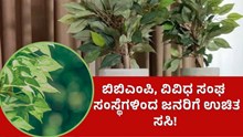 ಬಿಬಿಎಂಪಿ, ವಿವಿಧ ಸಂಘ ಸಂಸ್ಥೆಗಳಿಂದ ಜನರಿಗೆ ಉಚಿತ ಸಸಿ! ಬಿಬಿಎಂಪಿ, ವಿವಿಧ ಸಂಘ ಸಂಸ್ಥೆಗಳಿಂದ ಜನರಿಗೆ ಉಚಿತ ಸಸಿ!