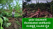 ಭಾರೀ ಬಿರುಗಾಳಿಗೆ ನೆಲಸಮವಾದ ಬಾಳೆತೋಟ: ಸಂಕಷ್ಟಕ್ಕೆ ಸಿಲುಕಿದ ರೈತ  ಭಾರೀ ಬಿರುಗಾಳಿಗೆ ನೆಲಸಮವಾದ ಬಾಳೆತೋಟ: ಸಂಕಷ್ಟಕ್ಕೆ ಸಿಲುಕಿದ ರೈತ
