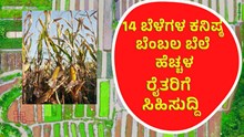 MSP ಜೋಳ,ರಾಗಿ, ಹತ್ತಿ ಸೇರಿದಂತೆ 14 ಬೆಳೆಗಳ ಕನಿಷ್ಠ ಬೆಂಬಲ ಹೆಚ್ಚಳ!  