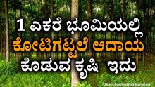 ಒಂದು ಎಕರೆ ಭೂಮಿಯಲ್ಲಿ ಕೋಟಿಗಟ್ಟಲೆ ಆದಾಯ ಕೊಡುವ ಕೃಷಿ  ಇದು