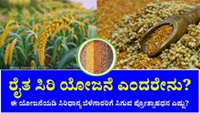 ರೈತ ಸಿರಿ ಯೋಜನೆ ಎಂದರೇನು? ಈ ಯೋಜನೆಯಡಿ ಸಿರಿಧಾನ್ಯ ಬೆಳೆಗಾರರಿಗೆ ಸಿಗುವ ಪ್ರೋತ್ಸಾಹ ಧನ ಎಷ್ಟು? ಇಲ್ಲಿದೆ ಮಾಹಿತಿ ರೈತ ಸಿರಿ ಯೋಜನೆ ಎಂದರೇನು? ಈ ಯೋಜನೆಯಡಿ ಸಿರಿಧಾನ್ಯ ಬೆಳೆಗಾರರಿಗೆ ಸಿಗುವ ಪ್ರೋತ್ಸಾಹ ಧನ ಎಷ್ಟು? ಇಲ್ಲಿದೆ ಮಾಹಿತಿ