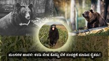 What an Idea! ಮಂಗಗಳ ಹಾವಳಿ ತಪ್ಪಿಸಲು ಕರಡಿ ವೇಷ ತೊಟ್ಟು ಬೆಳೆ ಸಂರಕ್ಷಣೆ ಮಾಡಿದ ರೈತರು! 