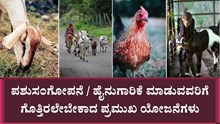ಪಶುಸಂಗೋಪನೆ / ಹೈನುಗಾರಿಕೆ ಮಾಡುವವರಿಗೆ ಗೊತ್ತಿರಲೇಬೇಕಾದ ಪ್ರಮುಖ ಯೋಜನೆಗಳು ಪಶುಸಂಗೋಪನೆ / ಹೈನುಗಾರಿಕೆ ಮಾಡುವವರಿಗೆ ಗೊತ್ತಿರಲೇಬೇಕಾದ ಪ್ರಮುಖ ಯೋಜನೆಗಳು