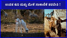 ಇಂದು ಮತ್ತು ನಾಳೆ ಉಚಿತ ಕುರಿ ಮತ್ತು ಮೇಕೆ ಸಾಕಾಣಿಕೆ ತರಬೇತಿ ! 