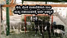 ಕುರಿ, ಮೇಕೆ ಸಾಕಾಣಿಕೆಗಾಗಿ ಸಾಲ ಮತ್ತು ಸಹಾಯಧನಕ್ಕೆ ಅರ್ಜಿ ಆಹ್ವಾನ ಕುರಿ, ಮೇಕೆ ಸಾಕಾಣಿಕೆಗಾಗಿ ಸಾಲ ಮತ್ತು ಸಹಾಯಧನಕ್ಕೆ ಅರ್ಜಿ ಆಹ್ವಾನ