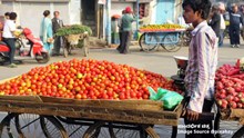 12 ಎಕರೆಯಲ್ಲಿ ಟೊಮೆಟೊ ಬೆಳೆದ ರೈತನಿಗೆ ಸಿಕ್ಕ ಹಣ ಎಷ್ಟು ಗೊತ್ತಾ..