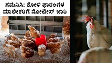Poultry Farm : ಕೋಳಿ ಫಾರಂಗಳ ಮಾಲೀಕರಿಗೆ ನೋಟೀಸ್ ಜಾರಿ! ಯಾಕೆ ಗೊತ್ತೆ? Poultry Farm : ಕೋಳಿ ಫಾರಂಗಳ ಮಾಲೀಕರಿಗೆ ನೋಟೀಸ್ ಜಾರಿ! ಯಾಕೆ ಗೊತ್ತೆ?