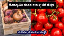 ಟೊಮ್ಯಾಟೊ ನಂತರ ಈರುಳ್ಳಿ ಬೆಲೆ ಹೆಚ್ಚಾಗುವ ಸಾಧ್ಯತೆ! ವರದಿಗಳು ಹೇಳೊದೇನು ಗೊತ್ತೆ? ಟೊಮ್ಯಾಟೊ ನಂತರ ಈರುಳ್ಳಿ ಬೆಲೆ ಹೆಚ್ಚಾಗುವ ಸಾಧ್ಯತೆ! ವರದಿಗಳು ಹೇಳೊದೇನು ಗೊತ್ತೆ?