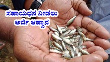 ಪಿಎಂ ಮತ್ಸ್ಯ ಸಂಪದ ಯೋಜನೆ: ಮೀನುಗಾರರಿಂದ ಸಹಾಯಧನಕ್ಕೆ ಅರ್ಜಿ ಆಹ್ವಾನ ಪಿಎಂ ಮತ್ಸ್ಯ ಸಂಪದ ಯೋಜನೆ: ಮೀನುಗಾರರಿಂದ ಸಹಾಯಧನಕ್ಕೆ ಅರ್ಜಿ ಆಹ್ವಾನ
