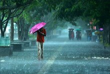 Rain ಬೆಂಗಳೂರು ಸೇರಿ ರಾಜ್ಯದ ವಿವಿಧ ಜಿಲ್ಲೆಗಳಲ್ಲಿ ಧಾರಾಕಾರ ಮಳೆ!  Rain ಬೆಂಗಳೂರು ಸೇರಿ ರಾಜ್ಯದ ವಿವಿಧ ಜಿಲ್ಲೆಗಳಲ್ಲಿ ಧಾರಾಕಾರ ಮಳೆ!