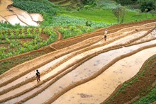 ರೈತರ “ಕಾಲುದಾರಿ” ಸಮಸ್ಯೆ ತಪ್ಪಿಸಲು ಸರ್ಕಾರದಿಂದ ಮಹತ್ವದ ನಿರ್ಧಾರ!   ರೈತರ “ಕಾಲುದಾರಿ” ಸಮಸ್ಯೆ ತಪ್ಪಿಸಲು ಸರ್ಕಾರದಿಂದ ಮಹತ್ವದ ನಿರ್ಧಾರ!