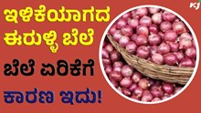 Onion ರಾಜ್ಯದಲ್ಲಿ ಇಳಿಕೆಯಾಗದ ಈರುಳ್ಳಿ ಬೆಲೆ, ಬೆಲೆ ಏರಿಕೆಗೆ ಕಾರಣವೇನು ?