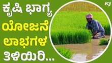 Krishi Bhagya ಕೃಷಿ ಭಾಗ್ಯ ಎಂದರೇನು, ರೈತರಿಗೆ ಏನೆಲ್ಲ ಉಪಯೋಗ ?  Krishi Bhagya ಕೃಷಿ ಭಾಗ್ಯ ಎಂದರೇನು, ರೈತರಿಗೆ ಏನೆಲ್ಲ ಉಪಯೋಗ ?