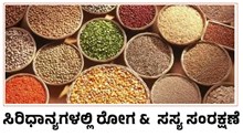 Millets ಸಿರಿಧಾನ್ಯಗಳಲ್ಲಿ ರೋಗ ಮತ್ತು ಅದರ ಸಸ್ಯ ಸಂರಕ್ಷಣಾ ವಿಧಾನ