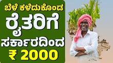ಬರ ಪರಿಹಾರ ರಿಲೀಸ್‌ : ಬೆಳೆ ಕಳೆದುಕೊಂಡ ರೈತರಿಗೆ ₹ 2000