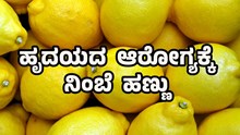 Lemon: ಹೃದಯದ ಆರೋಗ್ಯಕ್ಕೆ ನಿಂಬೆ ಹಣ್ಣು  Lemon: ಹೃದಯದ ಆರೋಗ್ಯಕ್ಕೆ ನಿಂಬೆ ಹಣ್ಣು