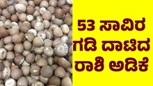 Arecanut :ಇಂದಿನ ಅಡಿಕೆ ಧಾರಣೆ..53 ಸಾವಿರ ಗಡಿ ದಾಟಿ ರಾಶಿ ಅಡಿಕೆ