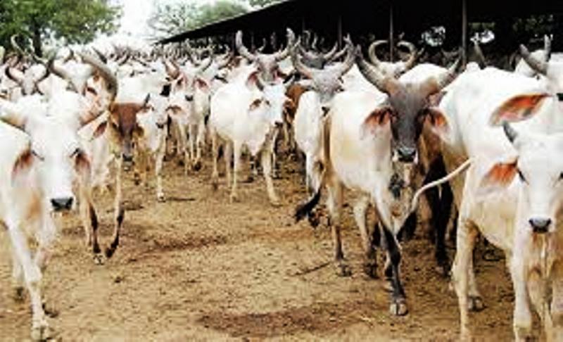 ಸಾಂದರ್ಭಿಕ ಚಿತ್ರ ಸಾಂದರ್ಭಿಕ ಚಿತ್ರ