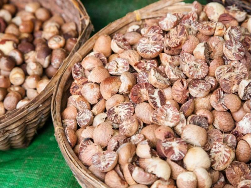 arecanut