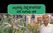 ಬದುಕು ಹಸನಾಗಿಸುವ ಬಿಳಿ ರಾಗಿಯ ಹೊಸ ತಳಿ