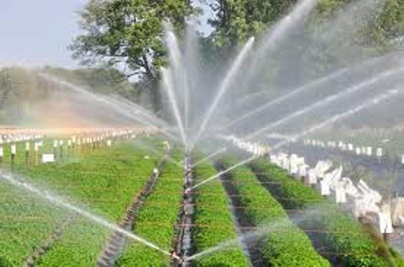 Drip Irriagation Drip Irriagation