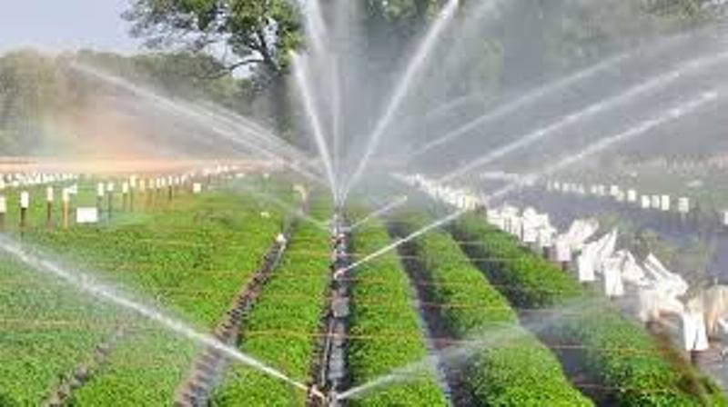 Drip irrigation Drip irrigation