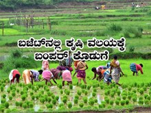 ಕೃಷಿ ವಲಯಕ್ಕೆ ಬಂಪರ್‌ ಕೊಡುಗೆ ರೈತರಿಂದ ಕೃಷಿ  ಉತ್ಪನ್ನ ಖರೀದಿಗಾಗಿಯೇ 1.72 ಲಕ್ಷ ಕೋಟಿ ರೂಪಾಯಿ ಮೀಸಲು