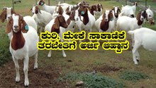 ಕುರಿ ಸಾಕಾಣಿಕೆಗೆ ಮಾಡುವ ರೈತರಿಗೆ ಸಂತಸದ ಸುದ್ದಿ- ಉಚಿತ ತರಬೇತಿ ನೀಡಲು ರೈತರಿಂದ ಅರ್ಜಿ ಆಹ್ವಾನ ಕುರಿ ಸಾಕಾಣಿಕೆಗೆ ಮಾಡುವ ರೈತರಿಗೆ ಸಂತಸದ ಸುದ್ದಿ- ಉಚಿತ ತರಬೇತಿ ನೀಡಲು ರೈತರಿಂದ ಅರ್ಜಿ ಆಹ್ವಾನ
