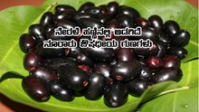 ನವಿರಾದ ನೇರಳೆ ಹಣ್ಣಿನಲ್ಲಿರುವ ನೂರೆಂಟು ಔಷಧೀಯ ಗುಣಗಳ ನೀವು ಬಲ್ಲಿರಾ?