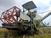 ರೈತರ ಸಂಕಷ್ಟಗಳ ಮೇಲೆ ಬರೆ ಎಳೆಯುತ್ತಿದೆ ಭತ್ತ ಕಟಾವು ಯಂತ್ರದ ದುಬಾರಿ ಬಾಡಿಗೆ