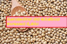 ರೈತ ಕಂಗಾಲ್! ದಲ್ಲಾಲರು ಫುಲ್ ಎಂಜಾಯ್ ನಲ್ಲಿ! ರೈತ ಕಂಗಾಲ್! ದಲ್ಲಾಲರು ಫುಲ್ ಎಂಜಾಯ್ ನಲ್ಲಿ!