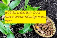 ಅರಿಶಿನದ ಎಕ್ಸ್ಪೋರ್ಟ್ ನಿಂದ ಸರ್ಕಾರ ತುಂಬಾ ಗಳಿಸುತ್ತಿದೆ? ಅದು ಹೇಗೆ?