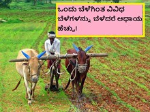 ಒಂದು ಬೆಳೆಗಿಂತ ವಿವಿಧ ಬೆಳೆಗಳನ್ನು ಬೆಳೆದರೆ ಆಧಾಯ ಹೆಚ್ಚು!