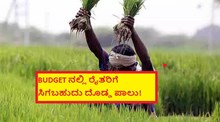 BUDGET ನಲ್ಲಿ ರೈತರಿಗೆ ಸಿಗಬಹುದು ದೊಡ್ಡ ಪಾಲು! BUDGET ನಲ್ಲಿ ರೈತರಿಗೆ ಸಿಗಬಹುದು ದೊಡ್ಡ ಪಾಲು!