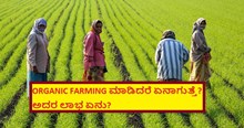 ORGANIC FARMING ಮಾಡಿದರೆ ಏನಾಗುತ್ತೆ? ಅದರ ಲಾಭ ಏನು?