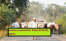 ANIMAL HUSBANDRY ಕರ್ನಾಟಕದಲ್ಲಿ! ಹೇಗೆ?