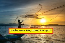 1.33ರೂ.crore. FISH, ಯಾವ FISH ಇದು? 1.33ರೂ.crore. FISH, ಯಾವ FISH ಇದು?