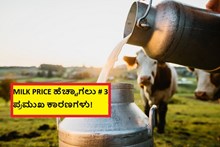 MILK PRICE ಹೆಚ್ಚಾಗಲು # 3 ಪ್ರಮುಖ ಕಾರಣಗಳು! MILK PRICE ಹೆಚ್ಚಾಗಲು # 3 ಪ್ರಮುಖ ಕಾರಣಗಳು!