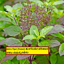 Astro Tips! (Tulasi) ತುಳಸಿಯೇ ಪರಿಹಾರ ಸಕಲ ಸಮಸ್ಯೆಗಳಿಗೆ?  Astro Tips! (Tulasi) ತುಳಸಿಯೇ ಪರಿಹಾರ ಸಕಲ ಸಮಸ್ಯೆಗಳಿಗೆ?