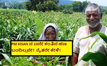 PM KISAN ನ 10ನೇ ಕಂತಿನ ಹಣ ಬಂದಿಲ್ಲವೇ?  ರೈತರೇ ಕೇಳಿ! PM KISAN ನ 10ನೇ ಕಂತಿನ ಹಣ ಬಂದಿಲ್ಲವೇ?  ರೈತರೇ ಕೇಳಿ!