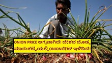 ONION PRICE ಅಗ್ಗವಾಗಿದೆ! ದೇಶದ ದೊಡ್ಡ ಮಾರುಕಟ್ಟೆಯಲ್ಲಿONIONರೇಟ್ ಇಳಿದಿದೆ!