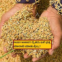 PADDY MARKET! ರೈತರು ಏಕೆ ಭತ್ತ ಮಾರಾಟ ಮಾಡುತ್ತಿಲ್ಲ?