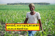 MSPಯಲ್ಲಿ 64.07 ಲಕ್ಷ ರೈತರ ಖಾತೆಗೆ 1,04,441.45 ಕೋಟಿ ರೂ! MSPಯಲ್ಲಿ 64.07 ಲಕ್ಷ ರೈತರ ಖಾತೆಗೆ 1,04,441.45 ಕೋಟಿ ರೂ!